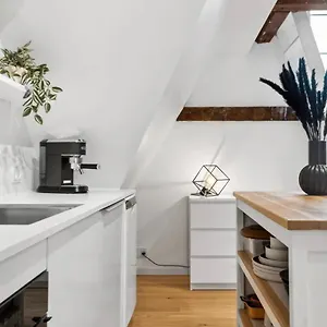 Charming Loft City Center Apartment Kopenhagen